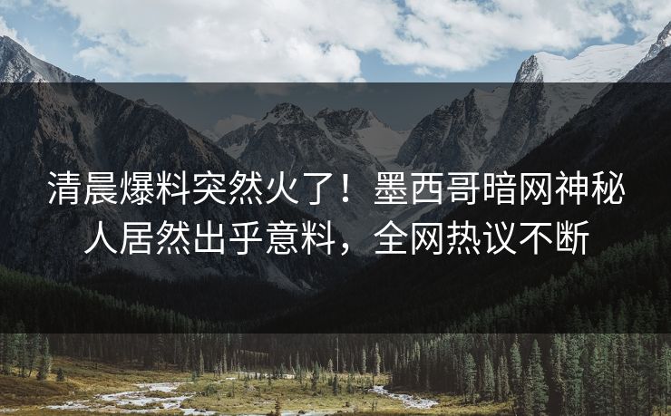 清晨爆料突然火了！墨西哥暗网神秘人居然出乎意料，全网热议不断