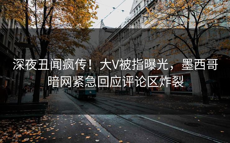 深夜丑闻疯传！大V被指曝光，墨西哥暗网紧急回应评论区炸裂