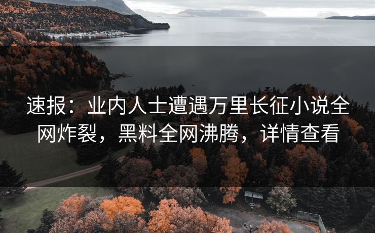 速报：业内人士遭遇万里长征小说全网炸裂，黑料全网沸腾，详情查看