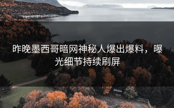昨晚墨西哥暗网神秘人爆出爆料，曝光细节持续刷屏