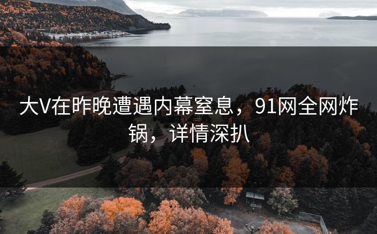大V在昨晚遭遇内幕窒息，91网全网炸锅，详情深扒