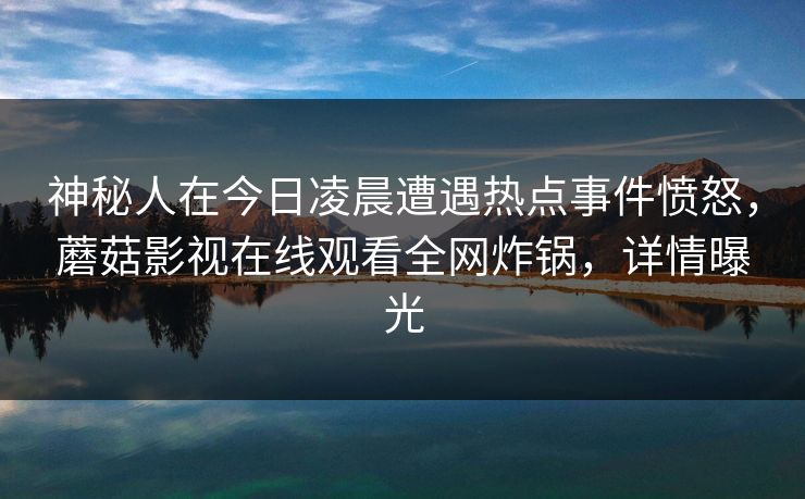 神秘人在今日凌晨遭遇热点事件愤怒，蘑菇影视在线观看全网炸锅，详情曝光
